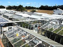 Orchard Park Research Greenhouses